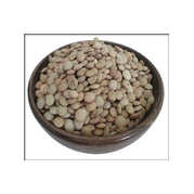 green lentil